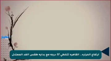 ارتفاع الحرارة.. القاهرة تتخطى 37 درجة مع بداية طقس الغد المعتدل